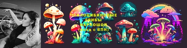амф Вуктыл