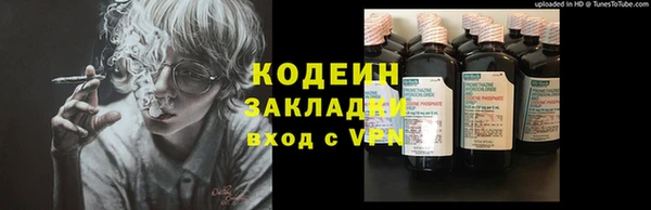 ГАЛЛЮЦИНОГЕННЫЕ ГРИБЫ Покачи