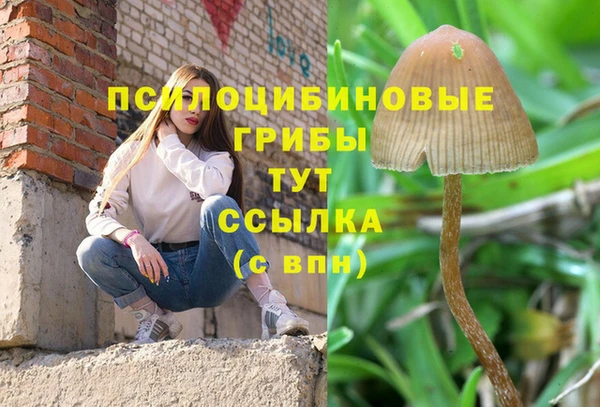 мдпв Покров