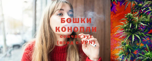 прущие крисы Пересвет