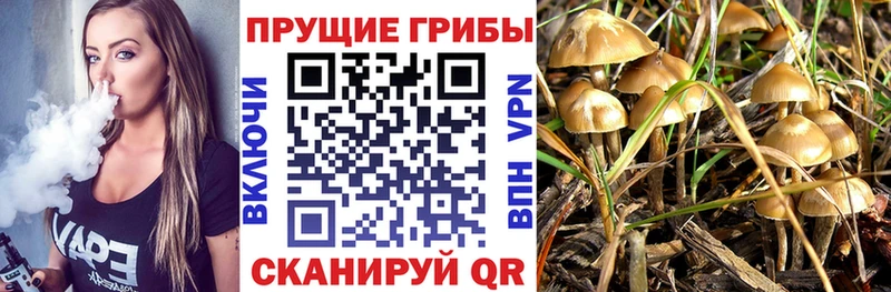 Псилоцибиновые грибы прущие грибы  цена   Баксан 