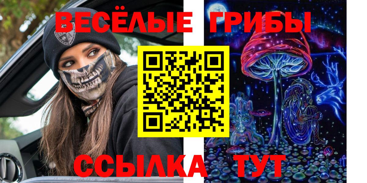 Псилоцибиновые грибы Cubensis Баксан