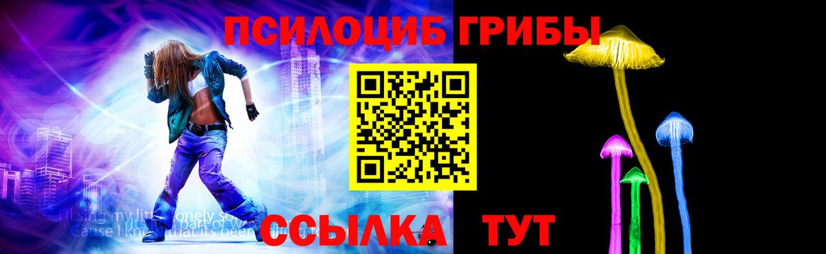 Баксан  Псилоцибиновые грибы Psilocybine cubensis  что такое наркотик  Вход с VPN 